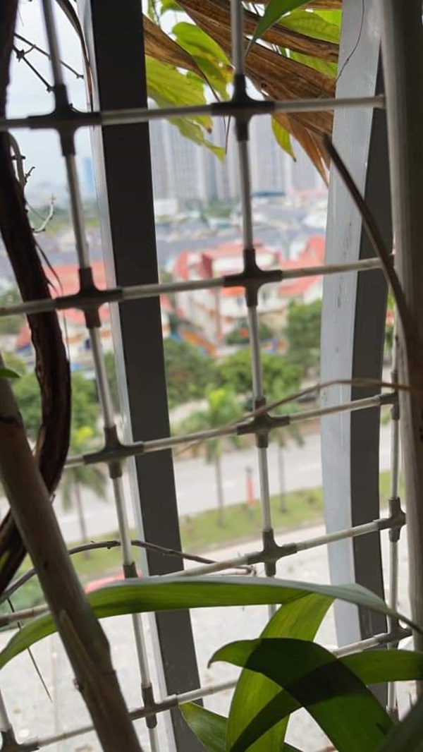 Kẹp chì lưới an toàn cầu thang trường học